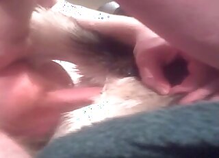 Lusty guy loves drilling pussy of his female dog in a zoo porn action