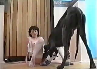 Brunette MILF in white lingerie enjoying passionate dog fucking