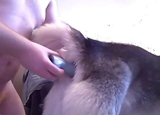 Guy trains that tight dog hole with a toy before using his penis
